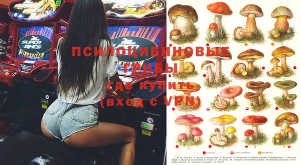 spice Абинск