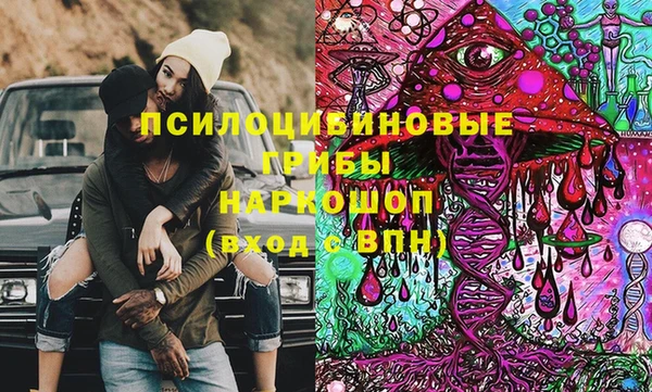 индика Алзамай